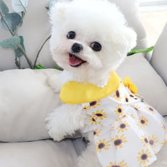 Dog Princess Dress Cute Dog Clothes Summer Cat Skirt - PeticaDeals