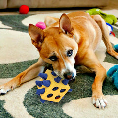 Dog Puzzle Feeder Ball Interactive Dog Toys To Keep Them Busy Chew Toys For Large and Small - PeticaDeals