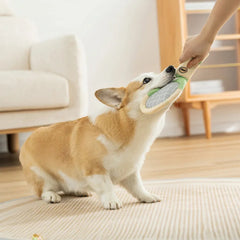 Dog Tennis Sports Sandpaper Racquet Toy Teddy - PeticaDeals