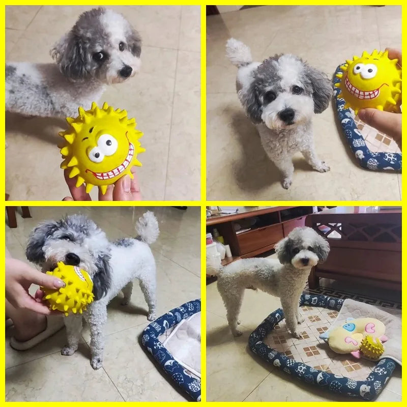 Dog Toy Cute Squeaky Interactive Chew - PeticaDeals