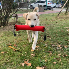 Dog Training Bite Stick Tear-Resistant - PeticaDeals