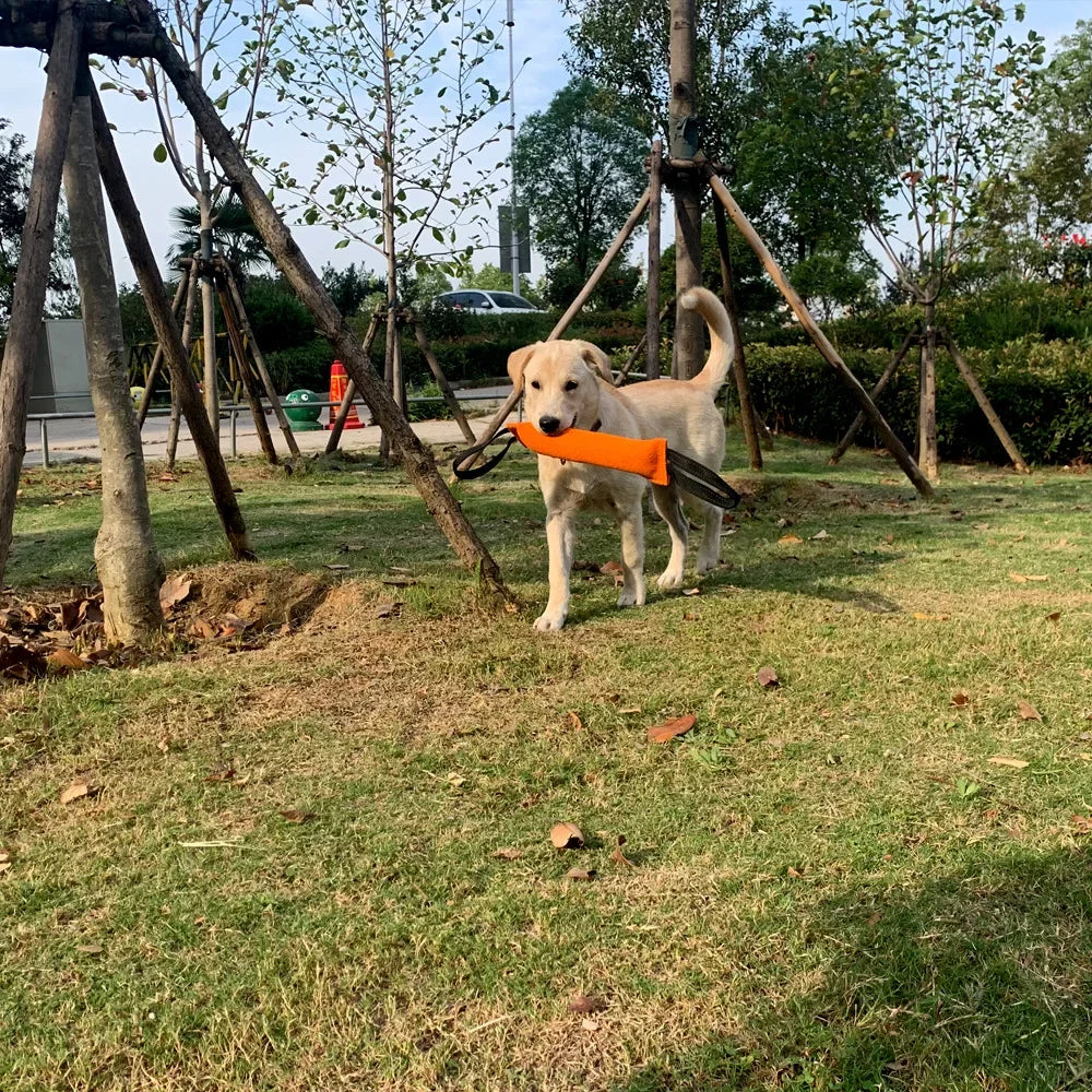 Dog Training Bite Stick Tear-Resistant - PeticaDeals