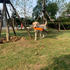 Dog Training Bite Stick Tear-Resistant - PeticaDeals