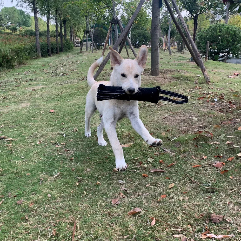Dog Training Bite Stick Tear-Resistant - PeticaDeals