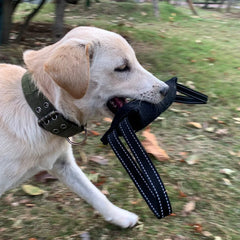 Dog Training Bite Stick Tear-Resistant - PeticaDeals