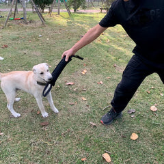 Dog Training Bite Stick Tear-Resistant - PeticaDeals