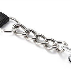 Dog Training Pet Chain One-Step Leashes for Dog Walking - PeticaDeals