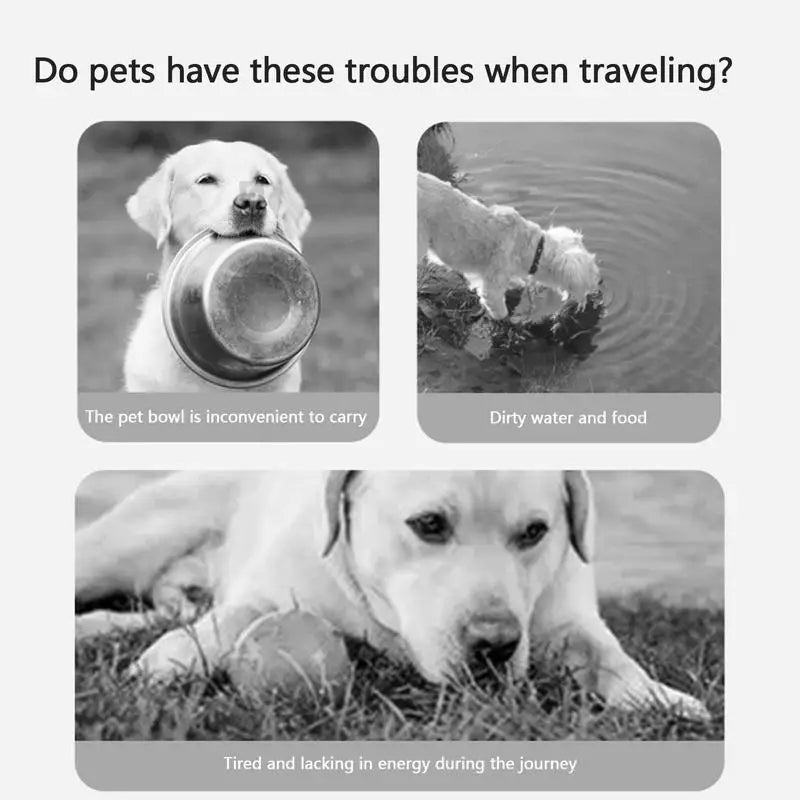 Dog Water Bottle With Food Bowl Water Cup - PeticaDeals