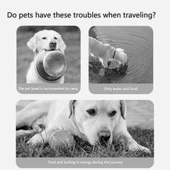 Dog Water Bottle With Food Bowl Water Cup - PeticaDeals