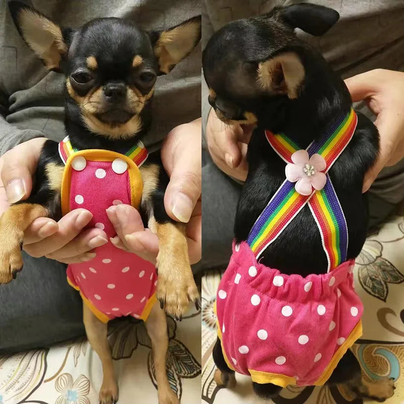 Dot Denim Dog Female Shorts Pants for Small & Medium Dogs - PeticaDeals