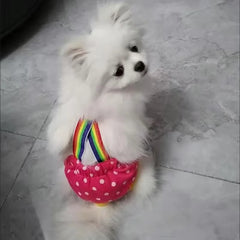 Dot Denim Dog Female Shorts Pants for Small & Medium Dogs - PeticaDeals