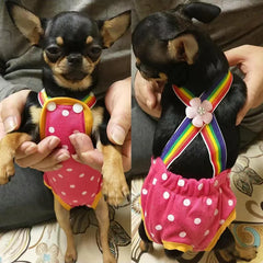 Dot Denim Dog Female Shorts Pants for Small & Medium Dogs - PeticaDeals