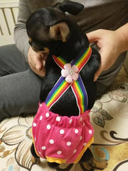 Dot Denim Dog Female Shorts Pants for Small & Medium Dogs - PeticaDeals