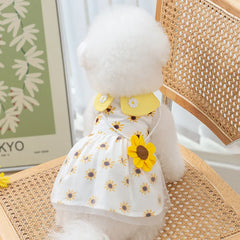 Dress Cute Summer Dog & Cat - PeticaDeals
