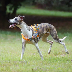 Durable Nylon Medium And Heavy Dog Harness No Pull Reflective Webbing Harness Dogs Walking Handle - PeticaDeals