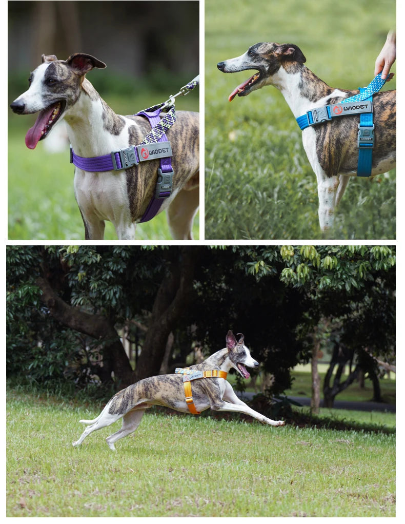 Durable Nylon Medium And Heavy Dog Harness No Pull Reflective Webbing Harness Dogs Walking Handle - PeticaDeals