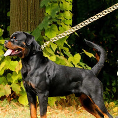 Durable Stainless Steel Dog Gold Silver Chain Lead - PeticaDeals