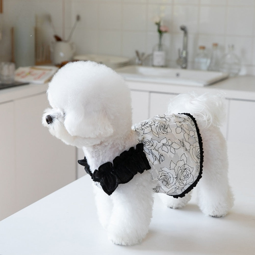 Fashion Pet Dress For Cat Dog - PeticaDeals