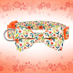 Flower Print Dog & Cats Collar With Bowknot Cute - PeticaDeals