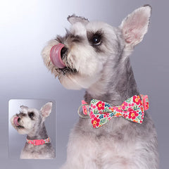 Flower Print Dog & Cats Collar With Bowknot Cute - PeticaDeals
