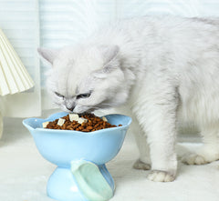 Flower Shape Ceramic Protection Bowl Lovely Large Caliber Drinking Water Food Dog Cat - PeticaDeals