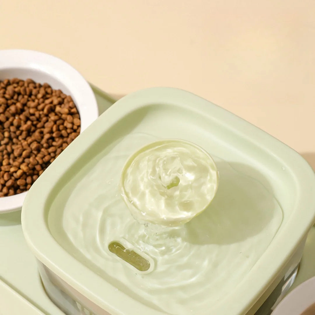 Food Bowls and Water Feeders with Automatic - PeticaDeals