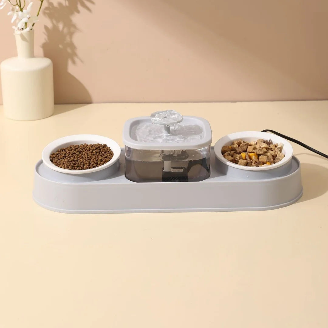 Food Bowls and Water Feeders with Automatic - PeticaDeals