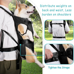 Front Carrier Backpacks Adjustable For Cats & Small Dogs - PeticaDeals