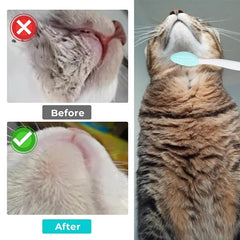 Grooming Brush for Pet Chin Acne Black Seed Exfoliating Brush - PeticaDeals