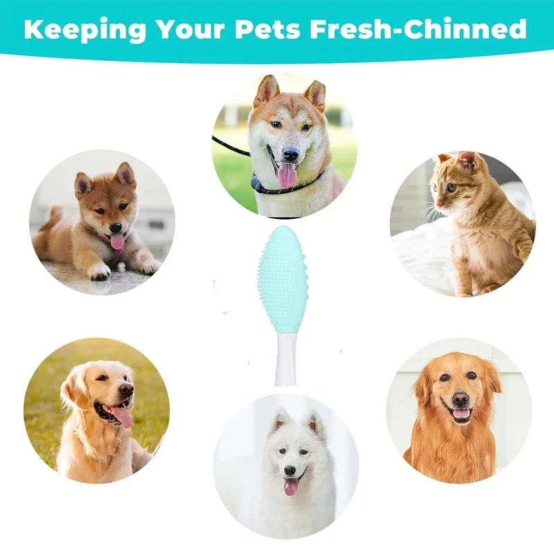 Grooming Brush for Pet Chin Acne Black Seed Exfoliating Brush - PeticaDeals