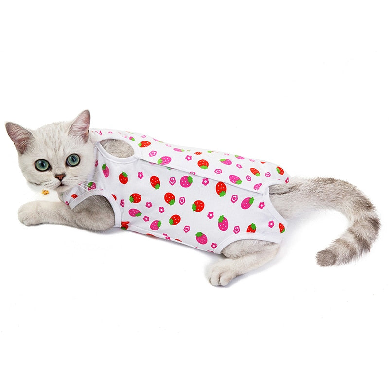 Cat Retrieve After Surgery Clothing Anti Cat Licking Wound - PeticaDeals