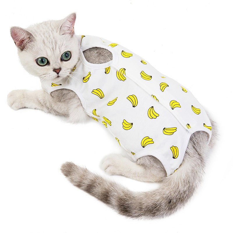 Cat Retrieve After Surgery Clothing Anti Cat Licking Wound - PeticaDeals