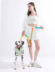 Hand Free Dog Leash for Pet Walking Running Adjustable  Waist Belt Chest Strap - PeticaDeals