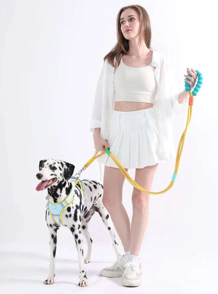 Hand Free Dog Leash for Pet Walking Running Adjustable  Waist Belt Chest Strap - PeticaDeals