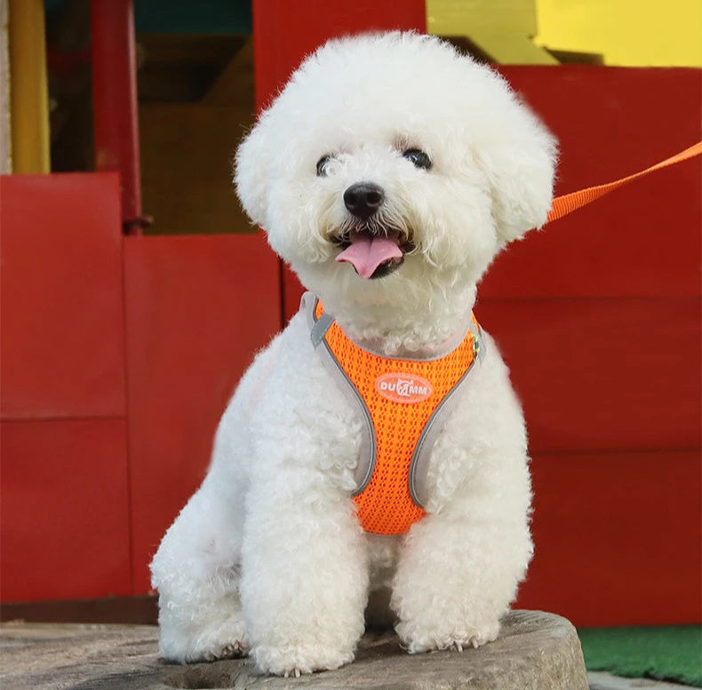 Harness Leash Breathable Pet Chest Strap - PeticaDeals