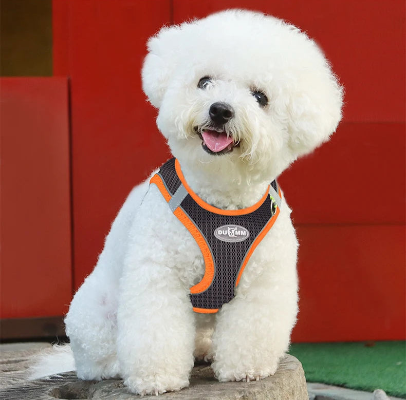Harness Leash Breathable Pet Chest Strap - PeticaDeals