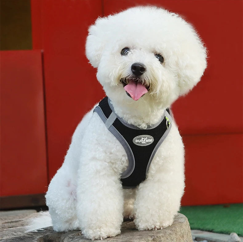 Harness Leash Breathable Pet Chest Strap - PeticaDeals