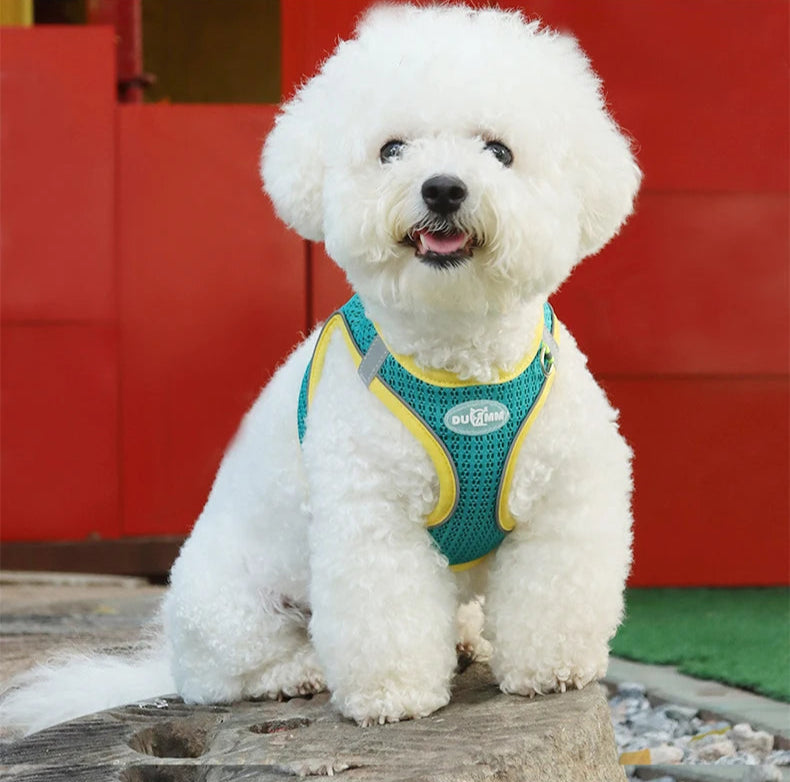 Harness Leash Breathable Pet Chest Strap - PeticaDeals