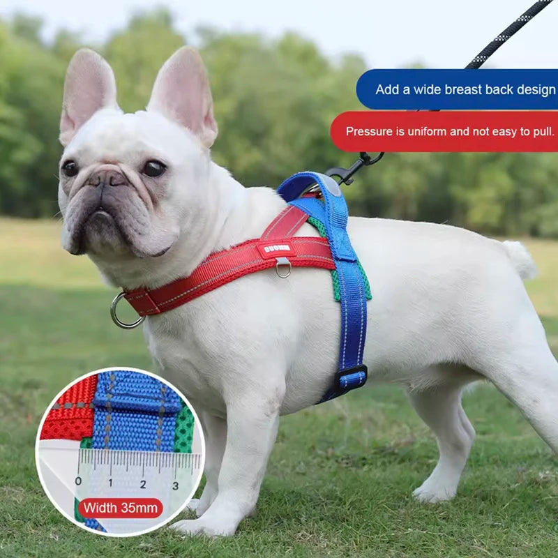 Harnesses Fashion Dog Harness Saddle-type - PeticaDeals