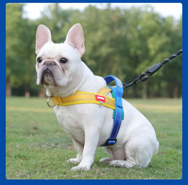 Harnesses Fashion Dog Harness Saddle-type - PeticaDeals