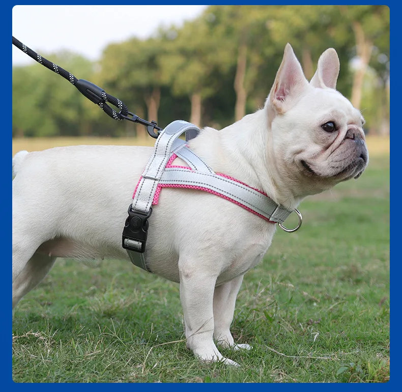 Harnesses Fashion Dog Harness Saddle-type - PeticaDeals