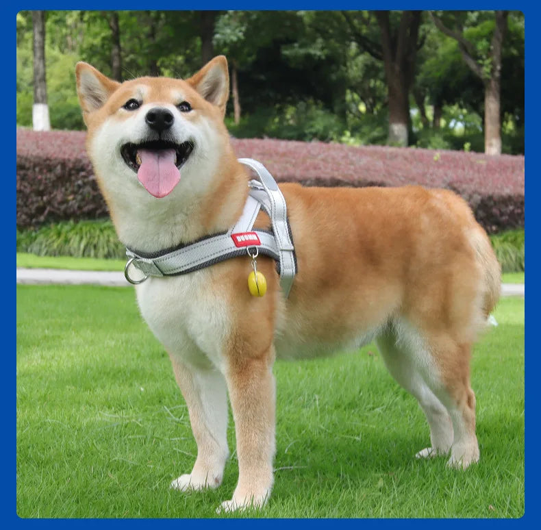 Harnesses Fashion Dog Harness Saddle-type - PeticaDeals