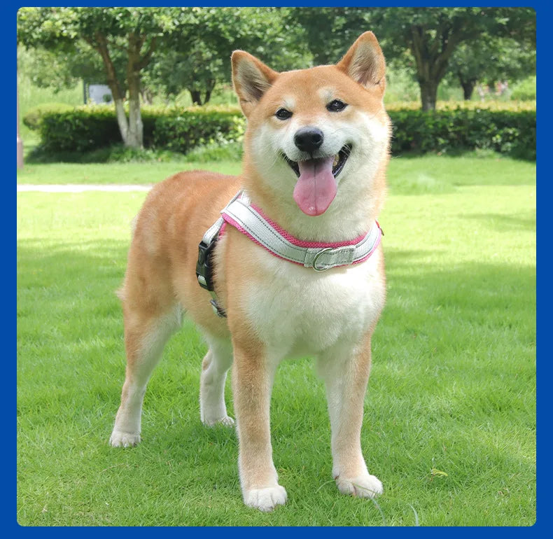 Harnesses Fashion Dog Harness Saddle-type - PeticaDeals