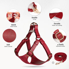 Harnesses Soft Pet Vest With Walking Lead - PeticaDeals