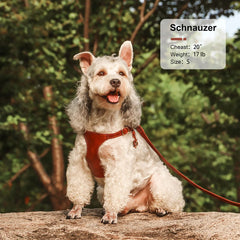 Harnesses Soft Pet Vest With Walking Lead - PeticaDeals