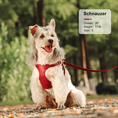 Harnesses Soft Pet Vest With Walking Lead - PeticaDeals