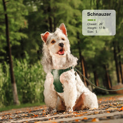 Harnesses Soft Pet Vest With Walking Lead - PeticaDeals