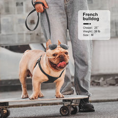 Harnesses Soft Pet Vest With Walking Lead - PeticaDeals