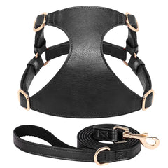Harnesses Soft Pet Vest With Walking Lead - PeticaDeals