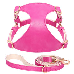 Harnesses Soft Pet Vest With Walking Lead - PeticaDeals